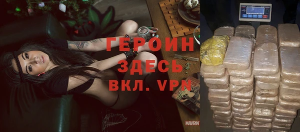 прущие грибы Гусиноозёрск
