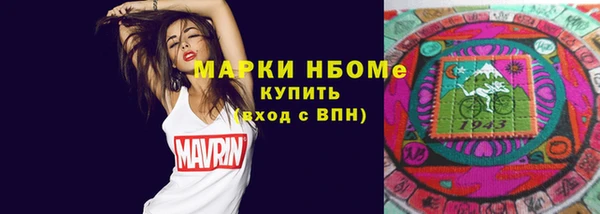ПСИЛОЦИБИНОВЫЕ ГРИБЫ Гусь-Хрустальный