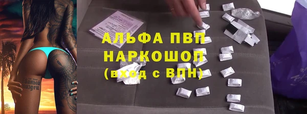 ешки Гусев