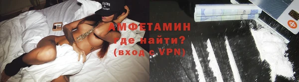 прущие грибы Гусиноозёрск