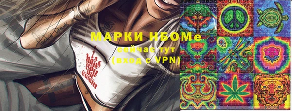 ПСИЛОЦИБИНОВЫЕ ГРИБЫ Гусь-Хрустальный