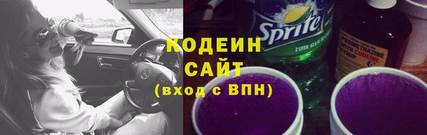 прущие грибы Гусиноозёрск