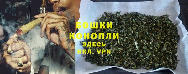 ешки Гусев