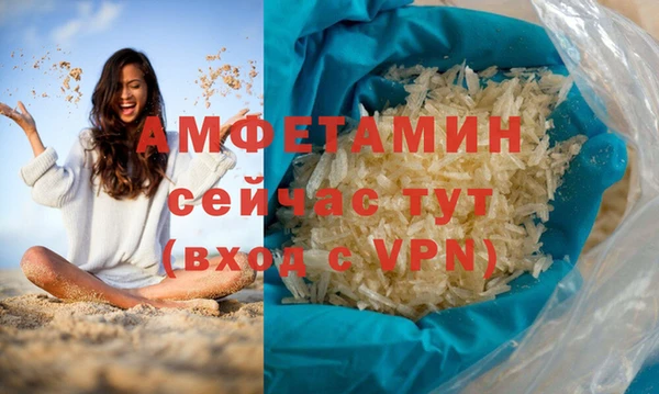 прущие грибы Гусиноозёрск