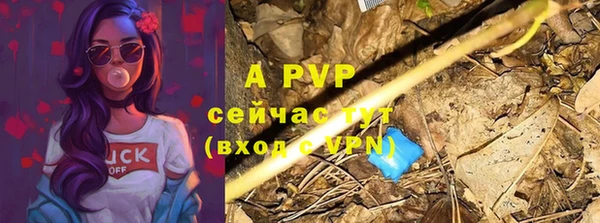 ПСИЛОЦИБИНОВЫЕ ГРИБЫ Гусь-Хрустальный