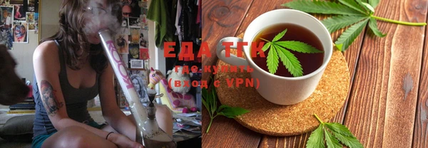 прущие грибы Гусиноозёрск