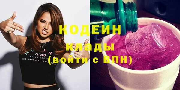 ПСИЛОЦИБИНОВЫЕ ГРИБЫ Гусь-Хрустальный