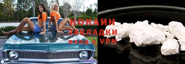 ПСИЛОЦИБИНОВЫЕ ГРИБЫ Гусь-Хрустальный
