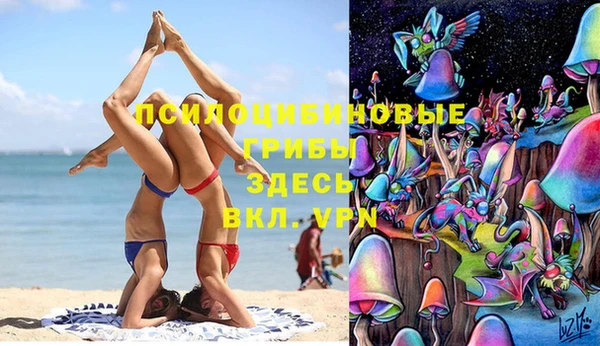 ПСИЛОЦИБИНОВЫЕ ГРИБЫ Гусь-Хрустальный