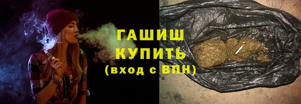 прущие грибы Гусиноозёрск