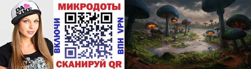 Галлюциногенные грибы GOLDEN TEACHER  мега ссылка  Плёс 